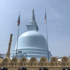 Meet your Posher, Roshanara